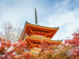 Featured image for: Inside Japan’s New Whistleblowing Era: The Ultimate Guide!